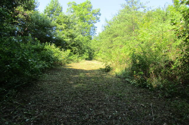 881 Deep Water Road Crossville, TN 38571 - Photo 37 of 40 Path to River