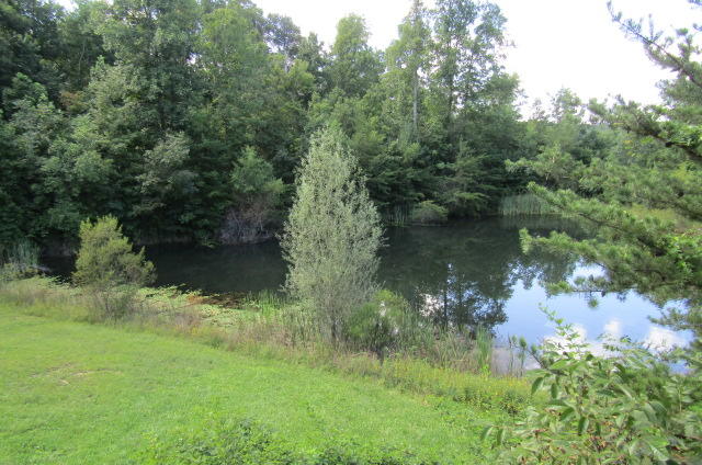 881 Deep Water Road Crossville, TN 38571 - Photo 5 of 40 From Deck