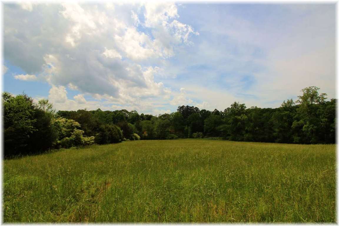 151 Hammock Ridge Drive, Unit 11 29 ACRES HAMMOCK RIDGE Seneca, SC 29672 - Photo 7 of 9 Gallery Image 7