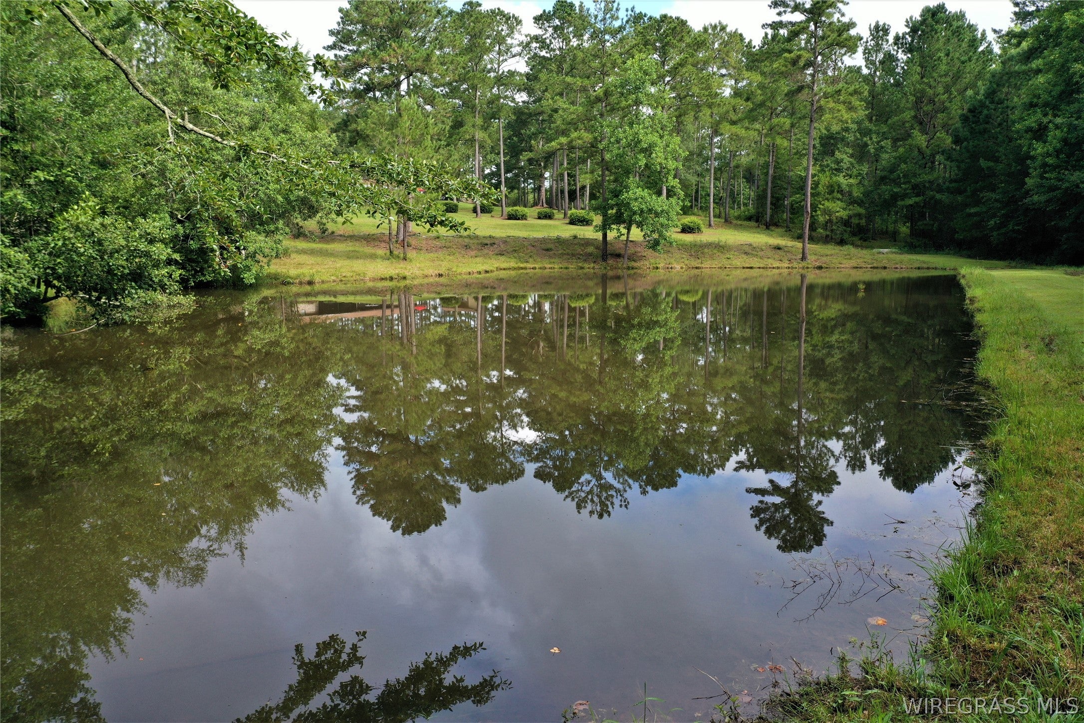 26775 Weaver Place Road Opp, AL 36467 - Photo 44 of 49 Gallery Image 44