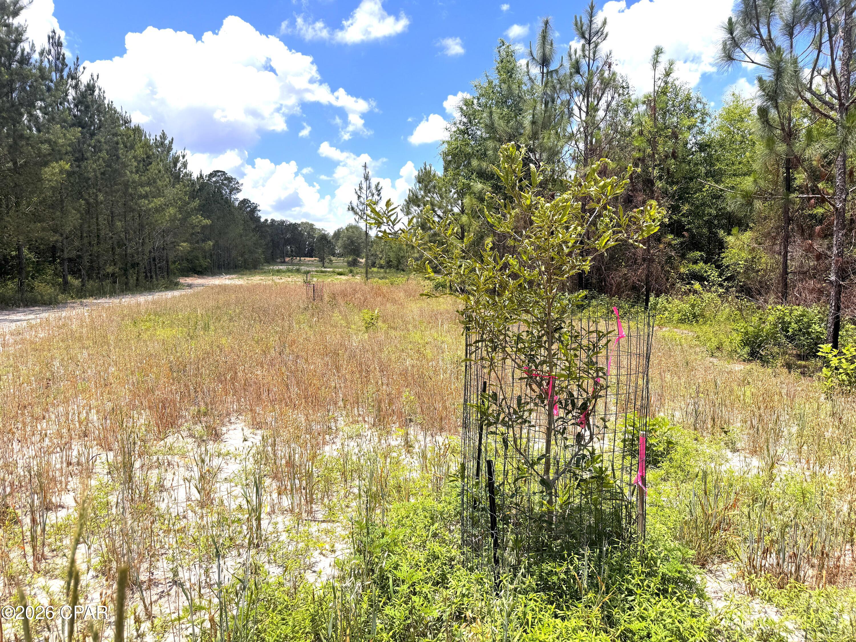 0 Autumn Road Malone, FL 32445 - Photo 21 of 58