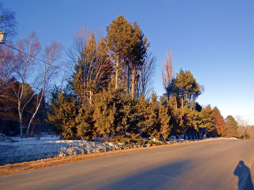 85 Ruth Road Linneus, ME 04730 - Photo 6 of 18 street-left-east