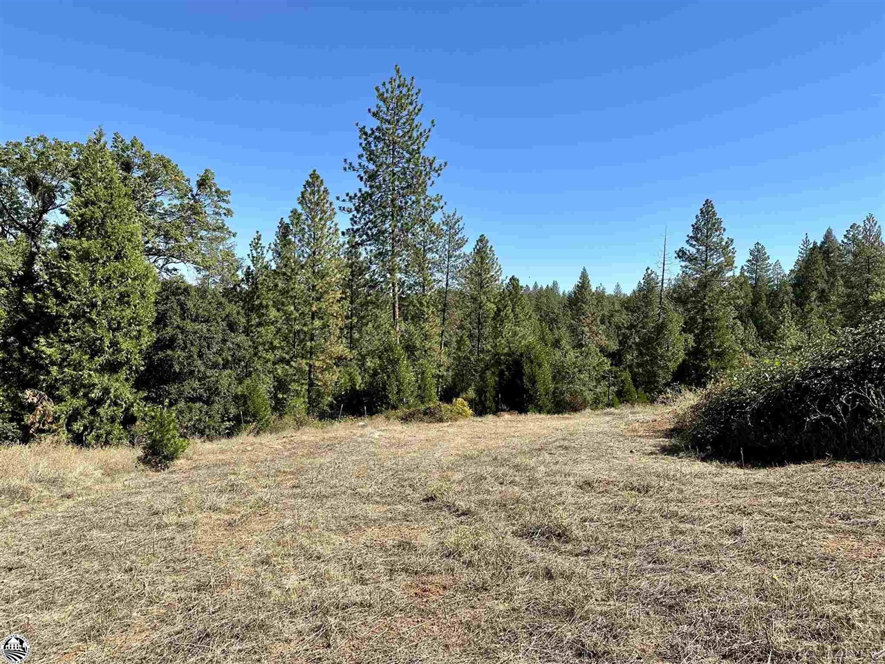 330 Higdon Road West Point, CA 95255 - Photo 30 of 31 a view of mountain view with trees in the background