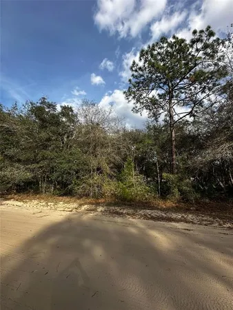 $10,500 | 13-10-24-4079-0060-0040, Interlachen, FL 32148