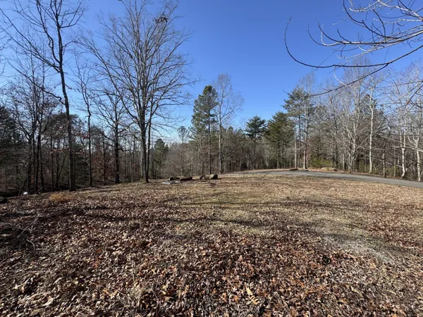 a view of a field with trees
