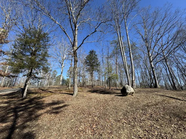 a view of outdoor space with playground and tree