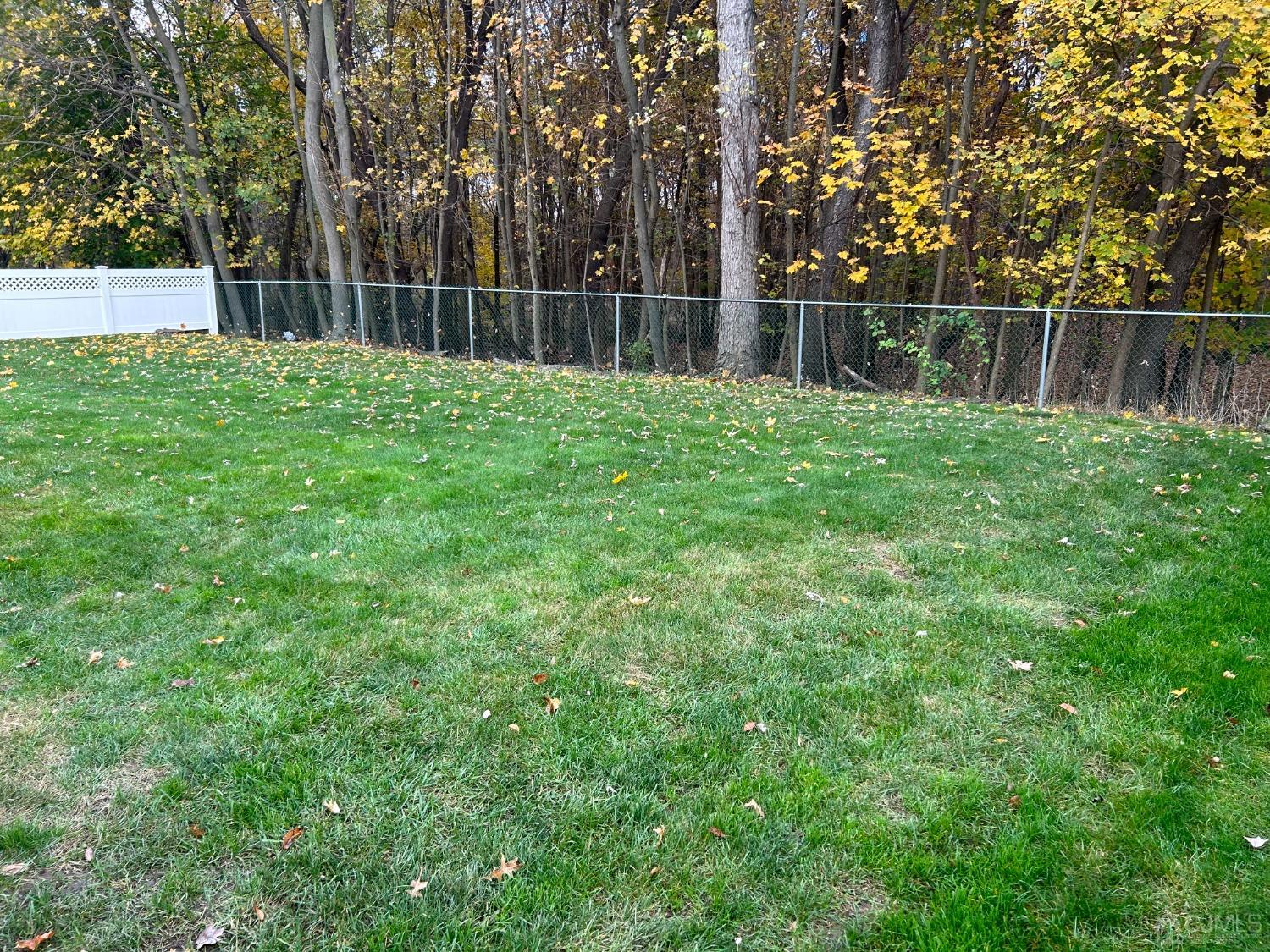 182 Princeton Road Old Bridge, NJ 08859 - Photo 19 of 19 a garden view