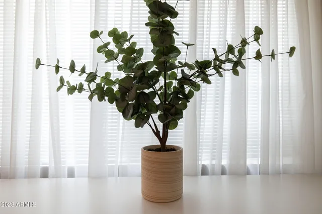 $10,000 | 6325 East Carolina Drive, Scottsdale, AZ 85254