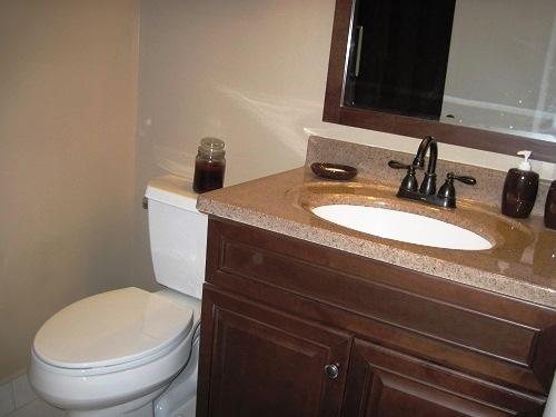 8127 Boca Rio Drive Boca Raton, FL 33433 - Photo 16 of 35 Guest bath3