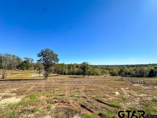 314 Henderson Tx 75652 Laneville, TX 75667 - Photo 4 of 4 a view of a lake with beach and large trees