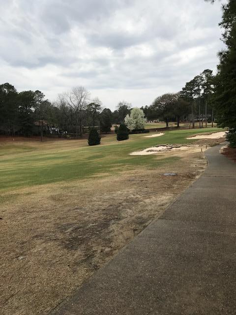 10 West Quail Lake Road Pinehurst, NC 28374 - Photo 1 of 9 IMG_4327