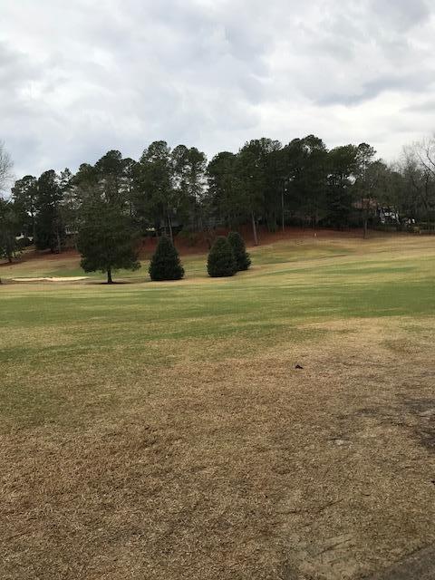 10 West Quail Lake Road Pinehurst, NC 28374 - Photo 2 of 9 IMG_4326