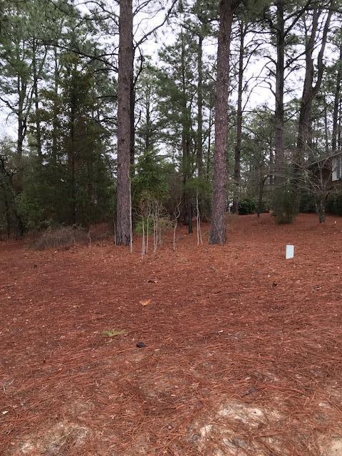 10 West Quail Lake Road Pinehurst, NC 28374 - Photo 3 of 9 Shot from Golf Course