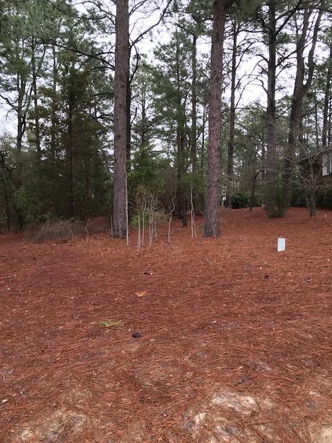 10 West Quail Lake Road Pinehurst, NC 28374 - Photo 5 of 9 IMG_4331