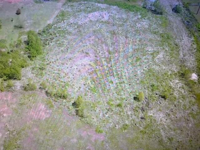 0 Rice Shreveport, LA 71119 - Photo 2 of 4 Aerial overview of property's location