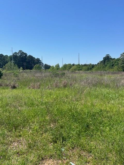 0 Rice Shreveport, LA 71119 - Photo 3 of 4 View of local wilderness featuring rural landscape
