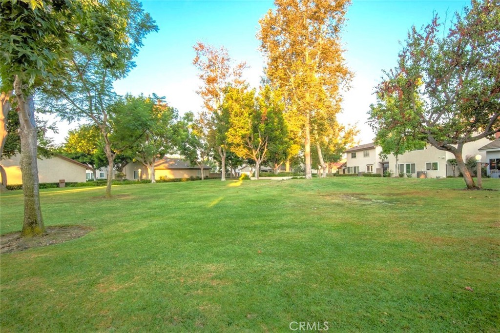 11253 Gardiners Court Cypress, CA 90630 - Photo 63 of 74 a view of yard with trees