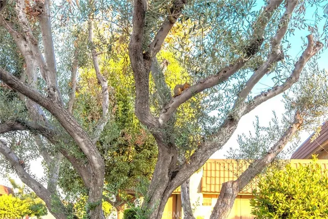 $774,000 | 11253 Gardiners Court, Cypress, CA 90630