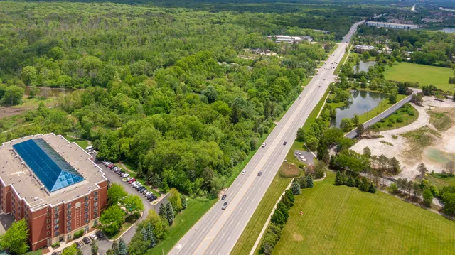 a view of a yard with plants