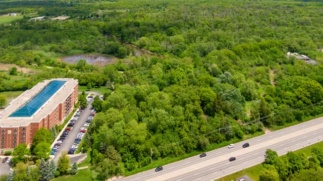 a view of a yard with plants and wooden fence