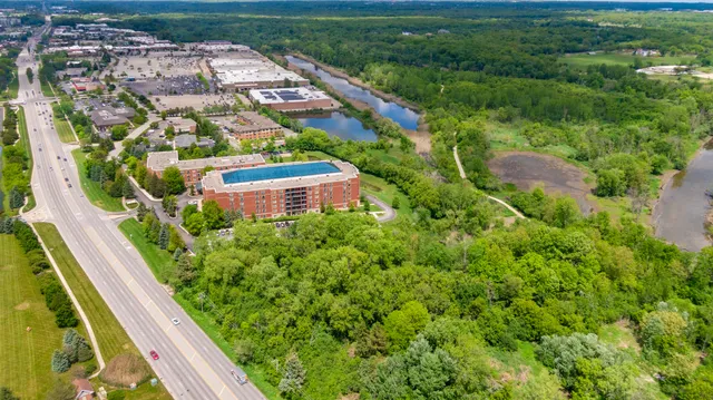 a view of a yard with plants