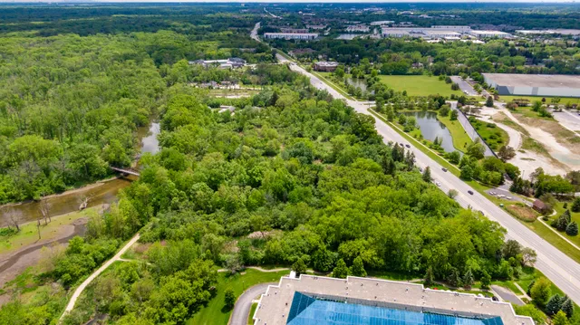 a view of a yard with plants