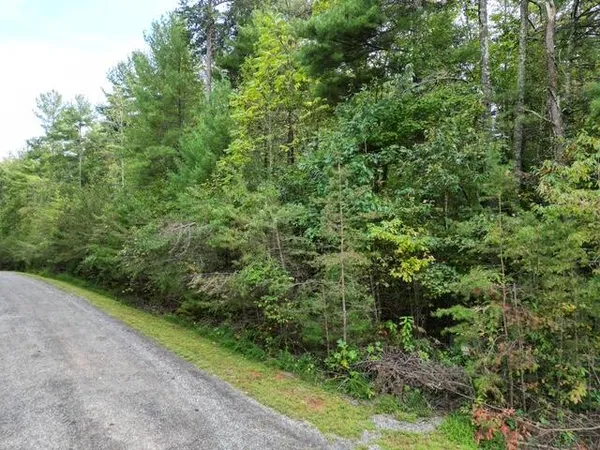 $39,500 | 0 Sage Lane, Callaway, VA 24067
