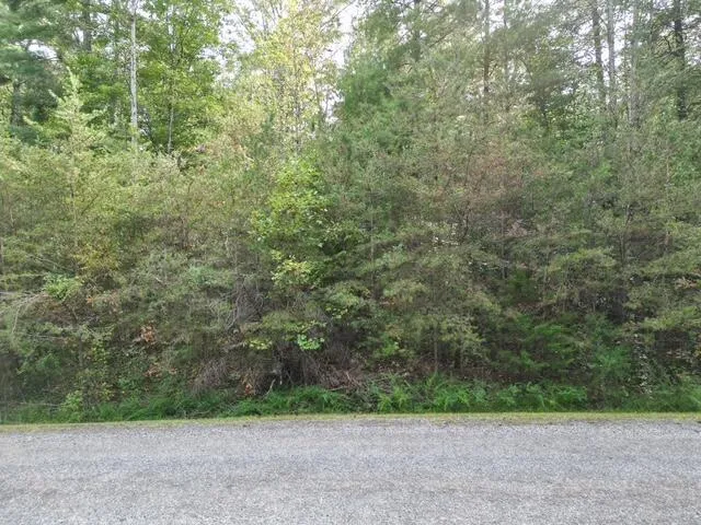 $39,500 | 0 Sage Lane, Callaway, VA 24067