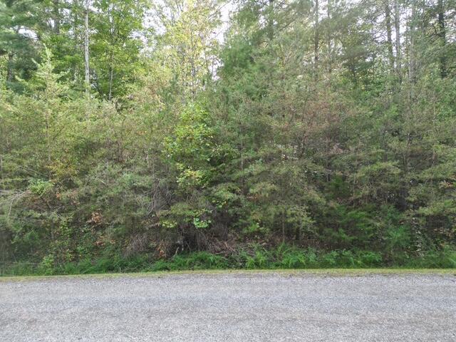 0 Sage Lane Callaway, VA 24067 - Photo 2 of 3 Ready for Your New Home