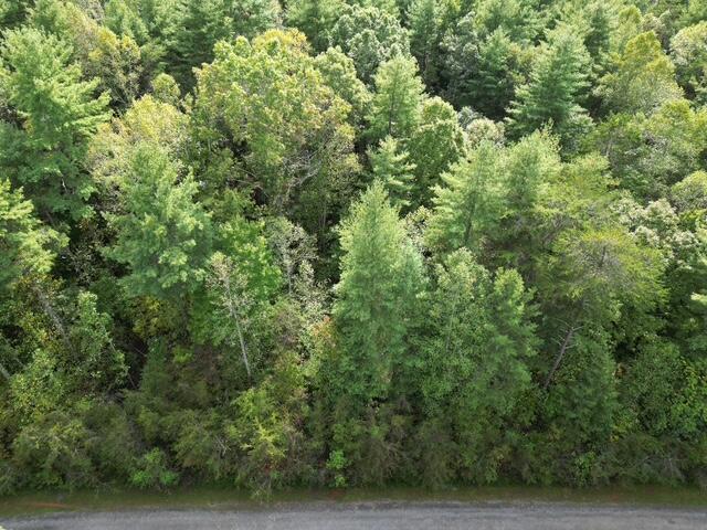 0 Sage Lane Callaway, VA 24067 - Photo 3 of 3 Nicely Wooded for Privacy