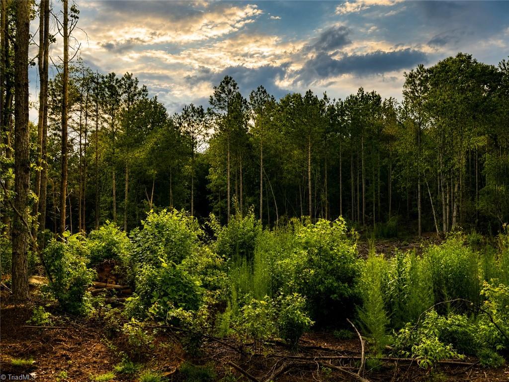 0 Jennings Road Randleman, NC 27317 - Photo 2 of 35 Gallery Image 2