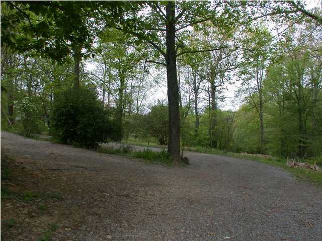 843 Murrell Road Signal Mountain, TN 37377 - Photo 7 of 7 Additional Photo