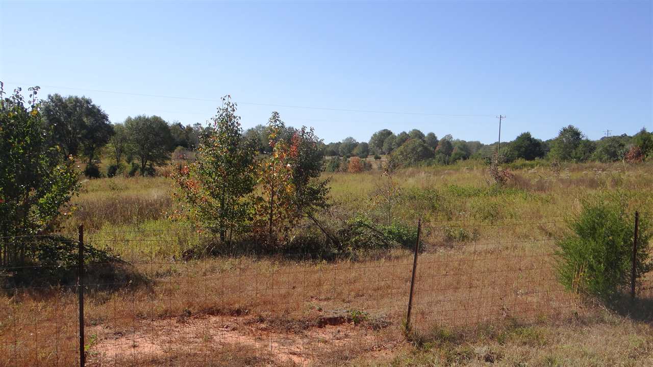 233 West Church Road Easley, SC 29642 - Photo 3 of 4