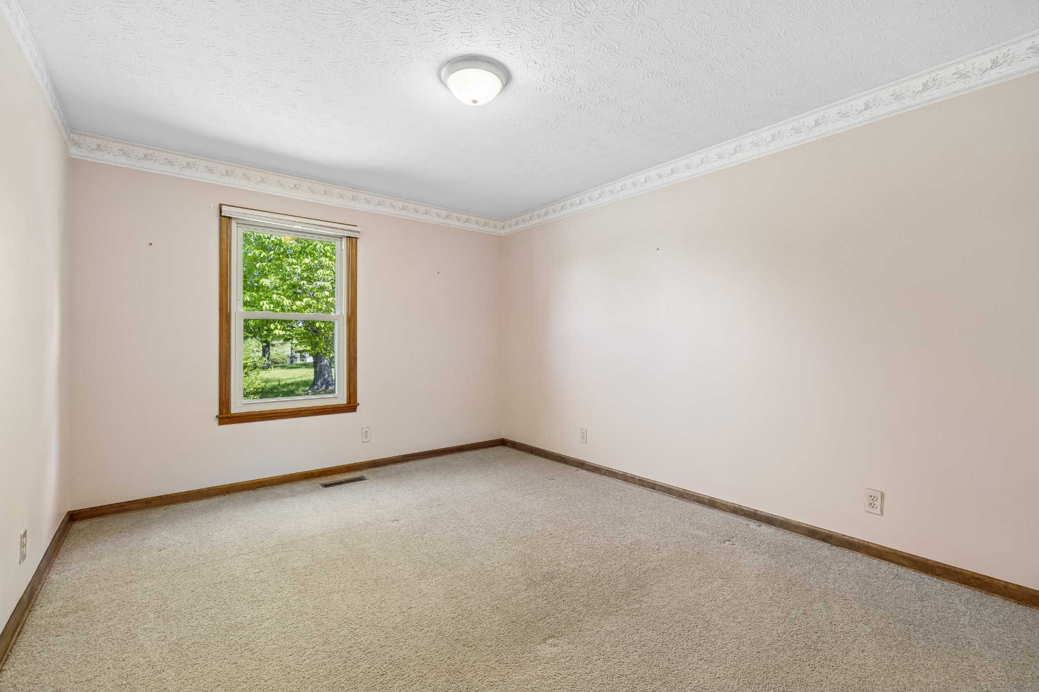 1690 Lawrence Lane Springfield, TN 37172 - Photo 20 of 64 an empty room with windows