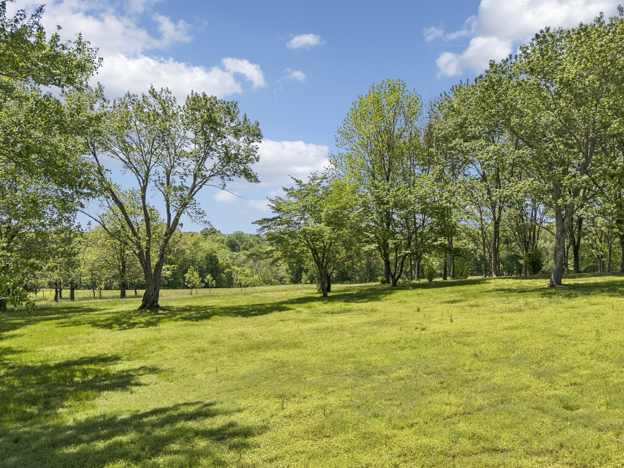 1690 Lawrence Lane Springfield, TN 37172 - Photo 40 of 64 a yard with trees in the background