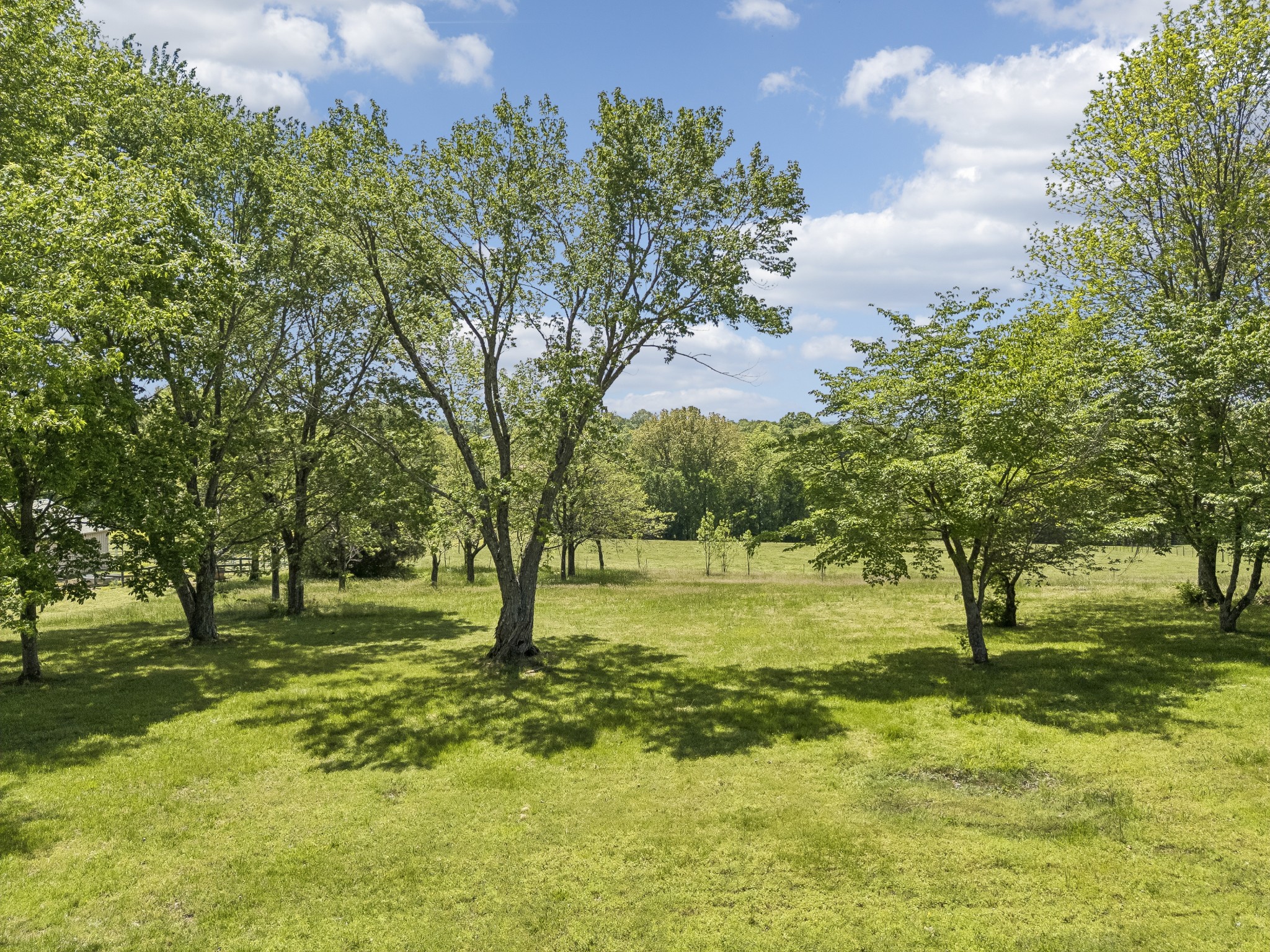 1690 Lawrence Lane Springfield, TN 37172 - Photo 41 of 64