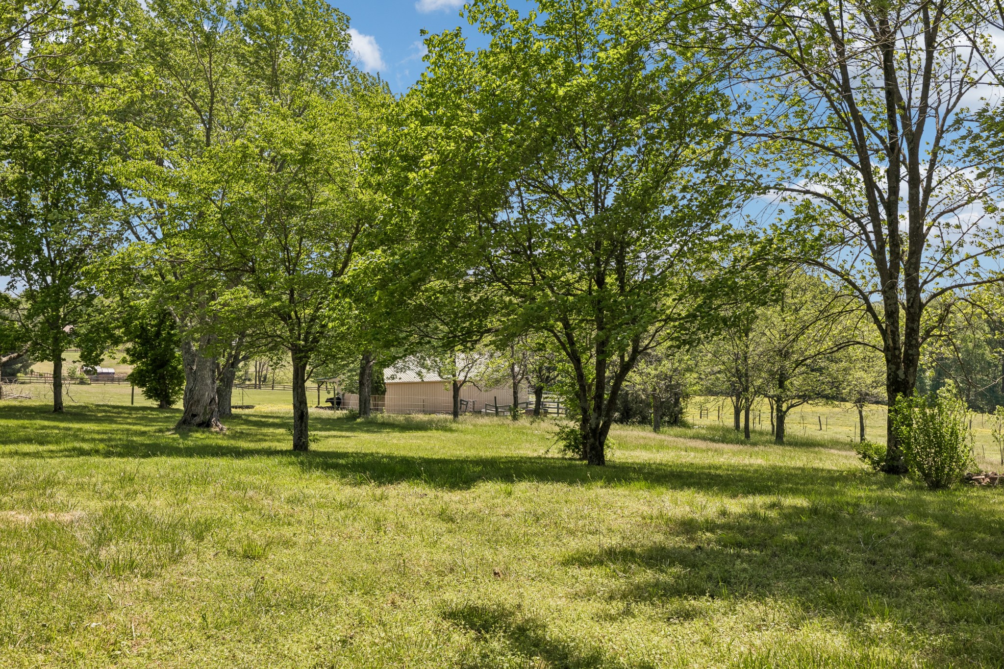 1690 Lawrence Lane Springfield, TN 37172 - Photo 46 of 64 a view of park with trees