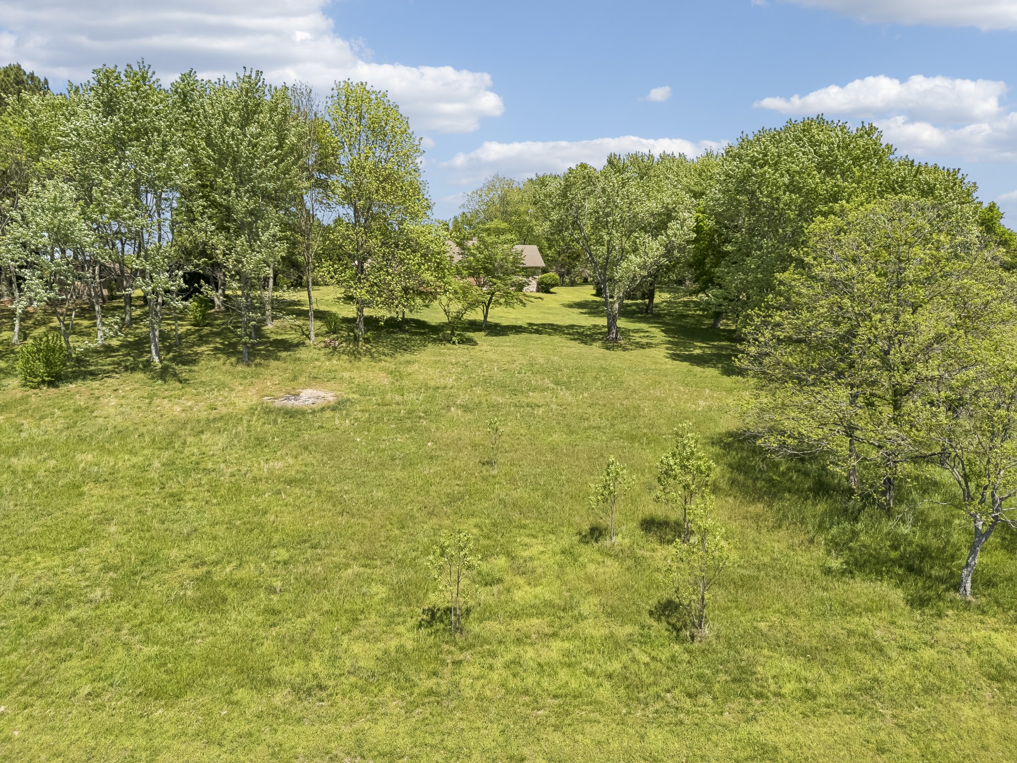 1690 Lawrence Lane Springfield, TN 37172 - Photo 50 of 64 a view of a yard with an outdoor space
