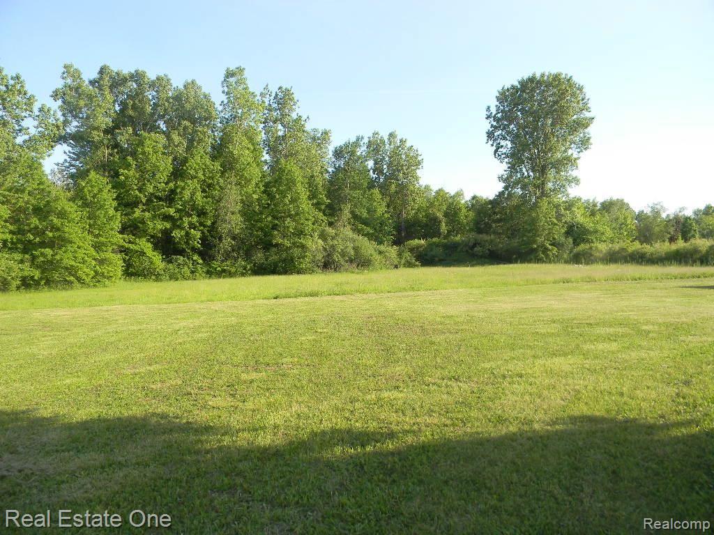 38715 Judd Road Belleville, MI 48111 - Photo 5 of 15