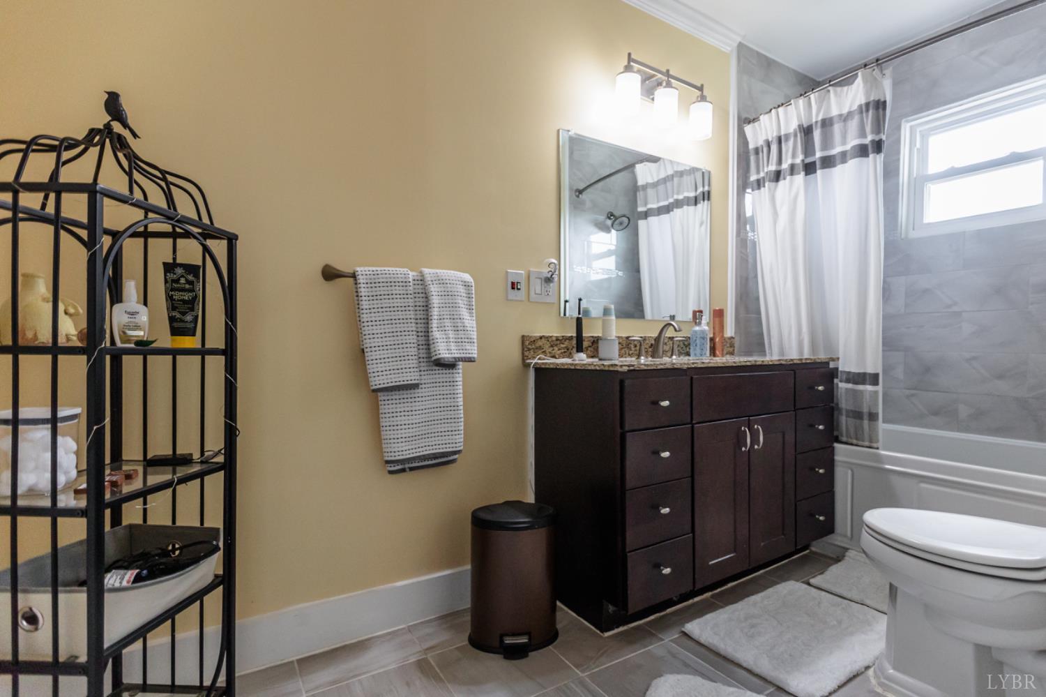172 Pecan Street Pamplin, VA 23958 - Photo 21 of 40 a bathroom with a toilet a sink and mirror