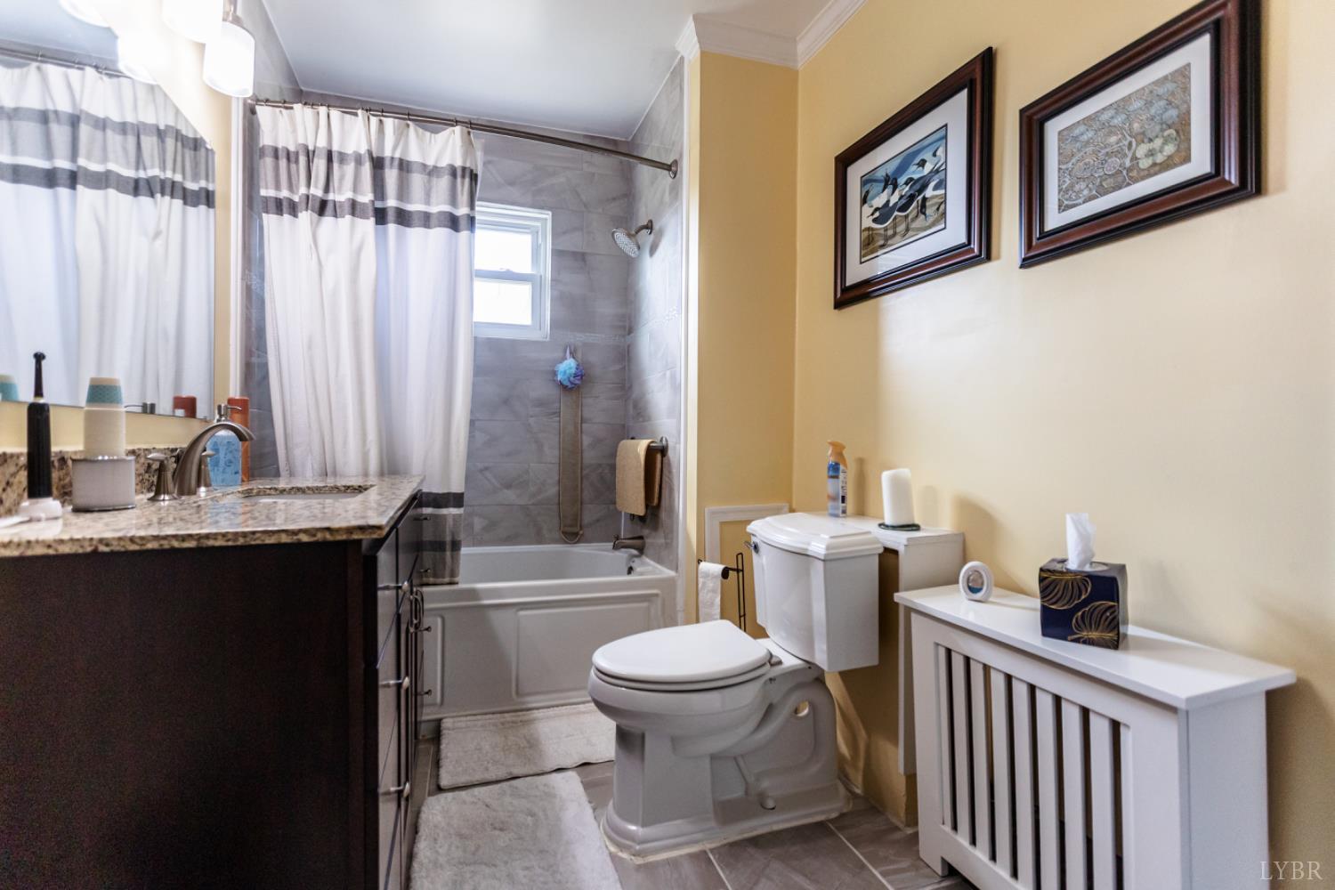 172 Pecan Street Pamplin, VA 23958 - Photo 22 of 40 a bathroom with a granite countertop sink a toilet and a shower