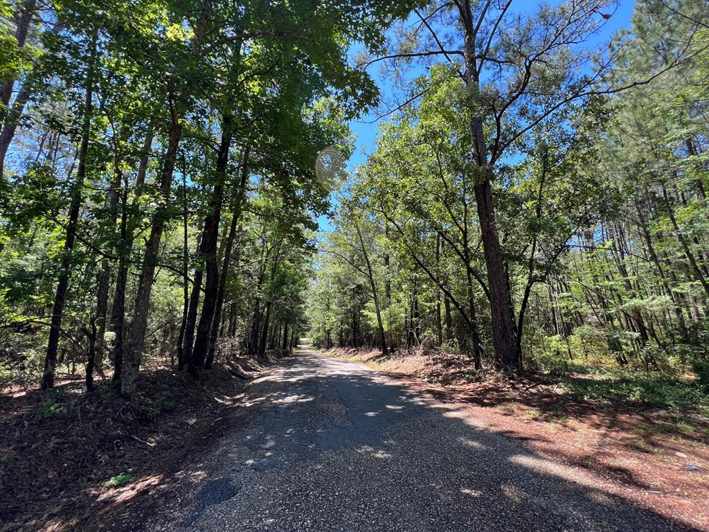 2 Sawmill Road Braxton, MS 39044 - Photo 2 of 3 Photo 2