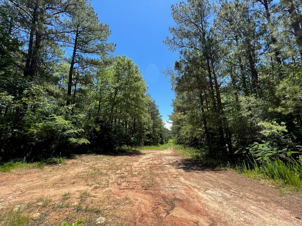 2 Sawmill Road Braxton, MS 39044 - Photo 3 of 3 Photo 3