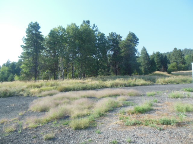 4471 Gardenspot Road Clayton, WA 99110 - Photo 19 of 20 Gallery Image 19