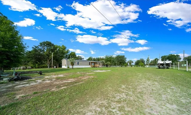 a view of a field with large trees