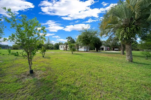 a view of a tree in a yard