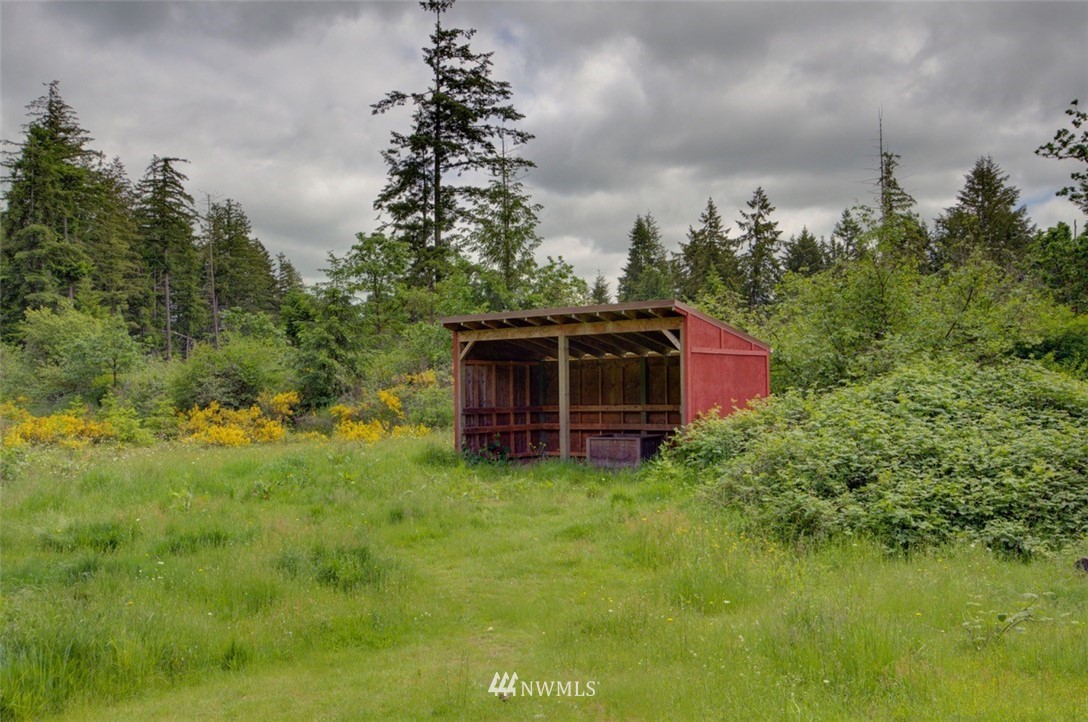 16634 Williams Lane Southwest Rochester, WA 98579 - Photo 26 of 33 a view of a big yard with potted plants and large trees