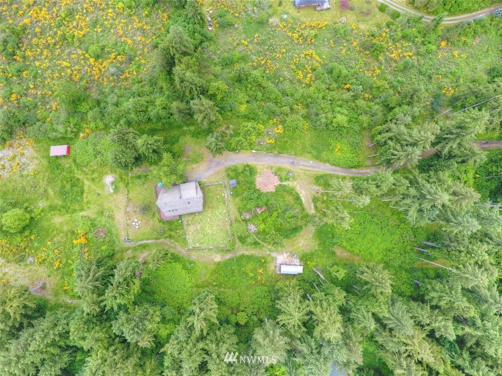 16634 Williams Lane Southwest Rochester, WA 98579 - Photo 29 of 33 a view of a back yard