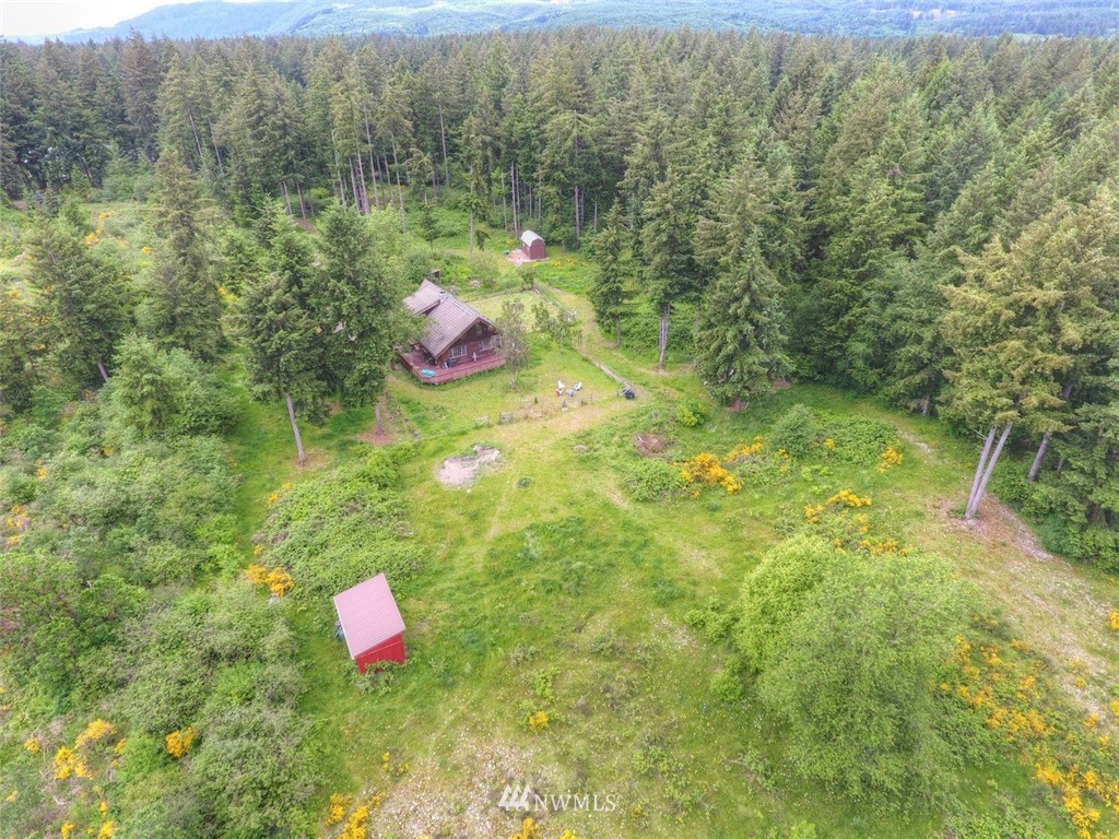 16634 Williams Lane Southwest Rochester, WA 98579 - Photo 31 of 33 a bird view of building