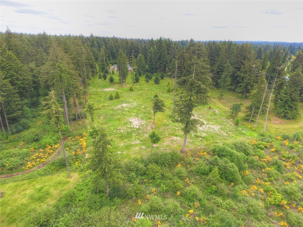 16634 Williams Lane Southwest Rochester, WA 98579 - Photo 32 of 33 a view of a lush green field near a forest